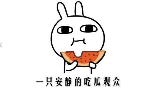 吃瓜是啥意思微信,微信时代下的网络流行语解析