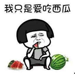 吃瓜娱乐圈动画在线观看,动画盛宴，娱乐圈风云尽收眼底