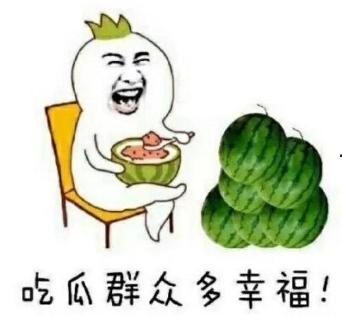 娱乐圈的瓜在哪里吃,揭秘各大平台瓜源汇总